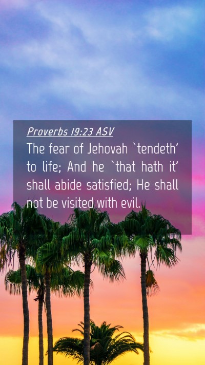 Picture 04 - Proverbs 19:23 ASV Mobile Phone Wallpaper - The fear of Jehovah `tendeth' to life; And he - Mobile Bible Verse Wallpaper