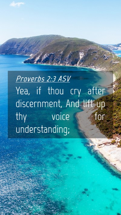 Picture 04 - Proverbs 2:3 ASV Mobile Phone Wallpaper - Yea, if thou cry after discernment, And lift up - Mobile Bible Verse Wallpaper