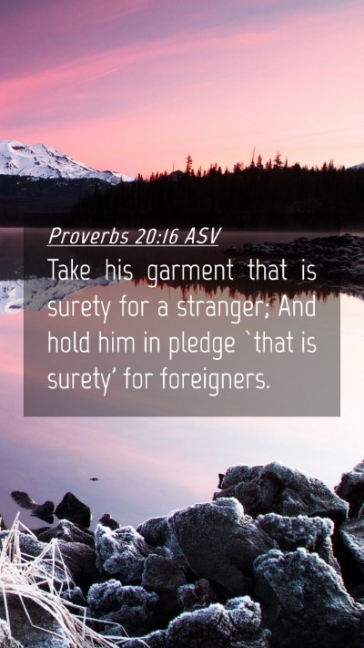 Picture 04 - Proverbs 20:16 ASV Mobile Phone Wallpaper - Take his garment that is surety for a stranger; - Mobile Bible Verse Wallpaper
