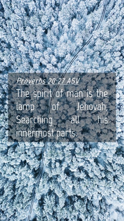 Picture 04 - Proverbs 20:27 ASV Mobile Phone Wallpaper - The spirit of man is the lamp of Jehovah, - Mobile Bible Verse Wallpaper
