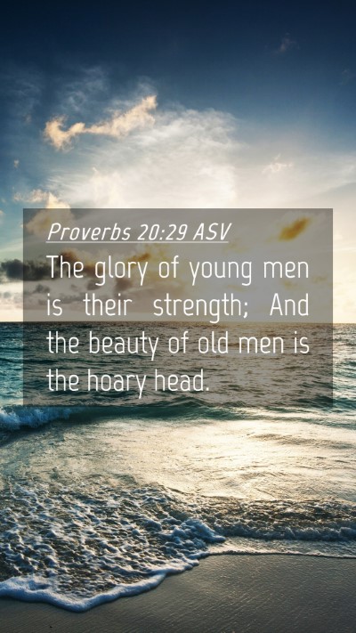 Picture 04 - Proverbs 20:29 ASV Mobile Phone Wallpaper - The glory of young men is their strength; And the - Mobile Bible Verse Wallpaper
