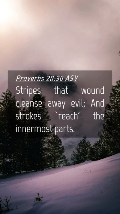 Picture 04 - Proverbs 20:30 ASV Mobile Phone Wallpaper - Stripes that wound cleanse away evil; And strokes - Mobile Bible Verse Wallpaper