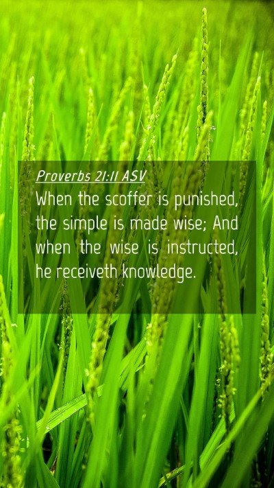 Picture 04 - Proverbs 21:11 ASV Mobile Phone Wallpaper - When the scoffer is punished, the simple is made - Mobile Bible Verse Wallpaper