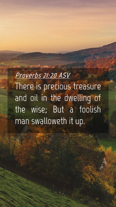 Picture 04 - Proverbs 21:20 ASV Mobile Phone Wallpaper - There is precious treasure and oil in the - Mobile Bible Verse Wallpaper