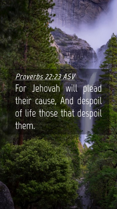 Picture 04 - Proverbs 22:23 ASV Mobile Phone Wallpaper - For Jehovah will plead their cause, And despoil - Mobile Bible Verse Wallpaper