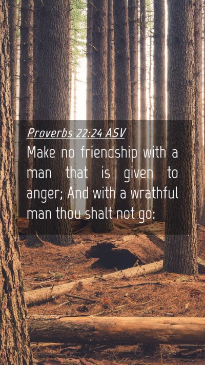 Picture 04 - Proverbs 22:24 ASV Mobile Phone Wallpaper - Make no friendship with a man that is given to - Mobile Bible Verse Wallpaper