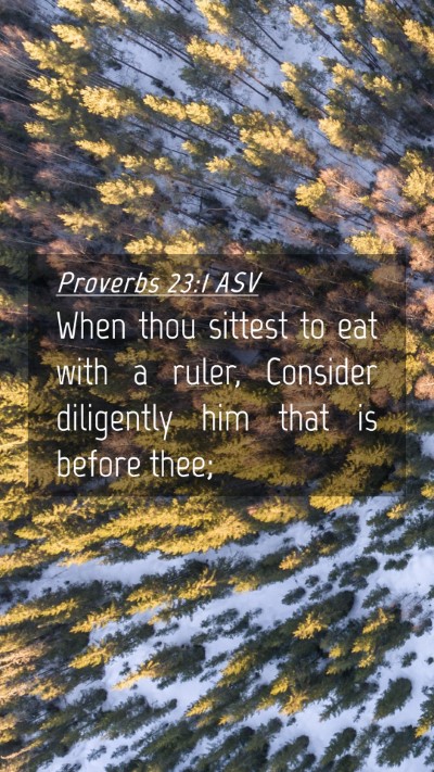 Picture 04 - Proverbs 23:1 ASV Mobile Phone Wallpaper - When thou sittest to eat with a ruler, Consider - Mobile Bible Verse Wallpaper