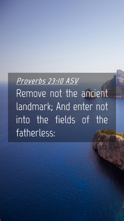 Picture 04 - Proverbs 23:10 ASV Mobile Phone Wallpaper - Remove not the ancient landmark; And enter not - Mobile Bible Verse Wallpaper