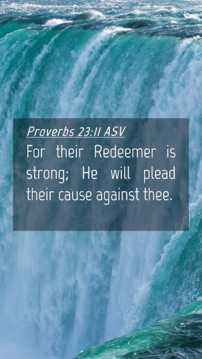 Picture 04 - Proverbs 23:11 ASV Mobile Phone Wallpaper - For their Redeemer is strong; He will plead their - Mobile Bible Verse Wallpaper
