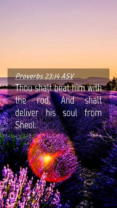Picture 04 - Proverbs 23:14 ASV Mobile Phone Wallpaper - Thou shalt beat him with the rod, And shalt - Mobile Bible Verse Wallpaper