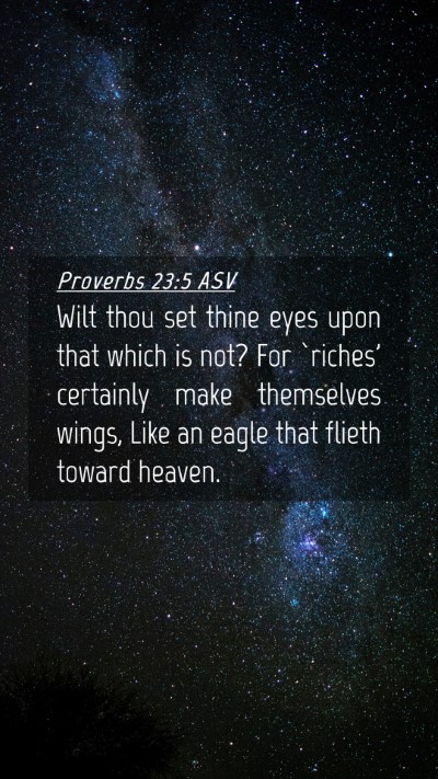 Picture 04 - Proverbs 23:5 ASV Mobile Phone Wallpaper - Wilt thou set thine eyes upon that which is not? - Mobile Bible Verse Wallpaper