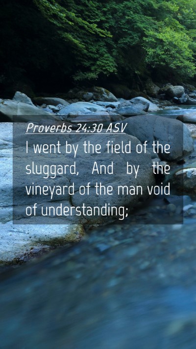 Picture 04 - Proverbs 24:30 ASV Mobile Phone Wallpaper - I went by the field of the sluggard, And by the - Mobile Bible Verse Wallpaper