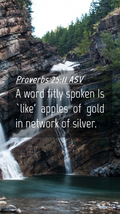 Picture 04 - Proverbs 25:11 ASV Mobile Phone Wallpaper - A word fitly spoken Is `like' apples of gold in - Mobile Bible Verse Wallpaper