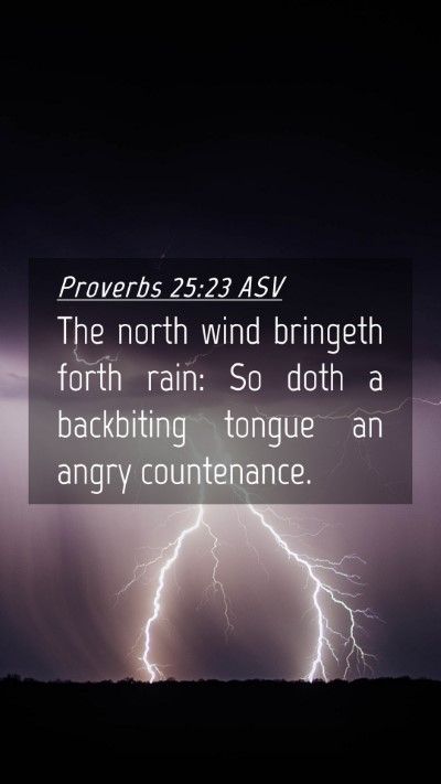 Picture 04 - Proverbs 25:23 ASV Mobile Phone Wallpaper - The north wind bringeth forth rain: So doth a - Mobile Bible Verse Wallpaper
