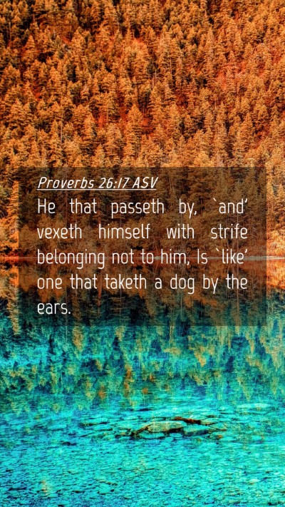 Picture 04 - Proverbs 26:17 ASV Mobile Phone Wallpaper - He that passeth by, `and' vexeth himself with - Mobile Bible Verse Wallpaper