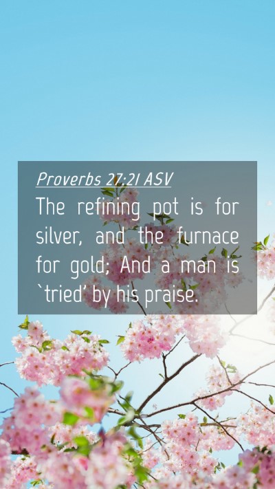 Picture 04 - Proverbs 27:21 ASV Mobile Phone Wallpaper - The refining pot is for silver, and the furnace - Mobile Bible Verse Wallpaper
