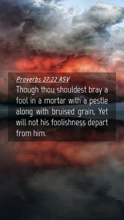 Picture 04 - Proverbs 27:22 ASV Mobile Phone Wallpaper - Though thou shouldest bray a fool in a mortar - Mobile Bible Verse Wallpaper