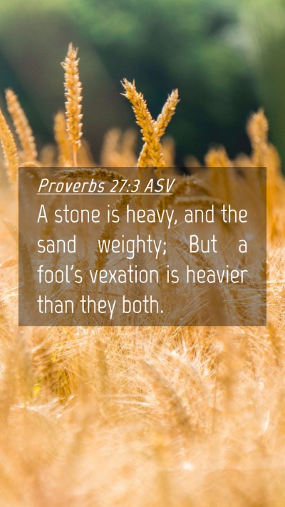 Picture 04 - Proverbs 27:3 ASV Mobile Phone Wallpaper - A stone is heavy, and the sand weighty; But a - Mobile Bible Verse Wallpaper