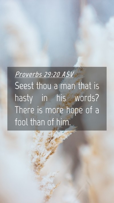 Picture 04 - Proverbs 29:20 ASV Mobile Phone Wallpaper - Seest thou a man that is hasty in his words? - Mobile Bible Verse Wallpaper