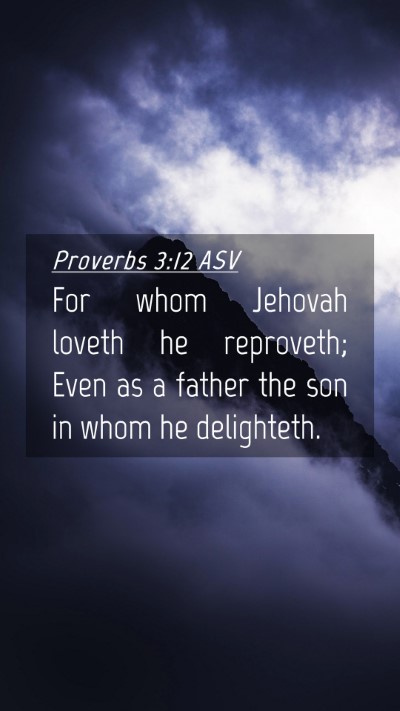 Picture 04 - Proverbs 3:12 ASV Mobile Phone Wallpaper - For whom Jehovah loveth he reproveth; Even as a - Mobile Bible Verse Wallpaper