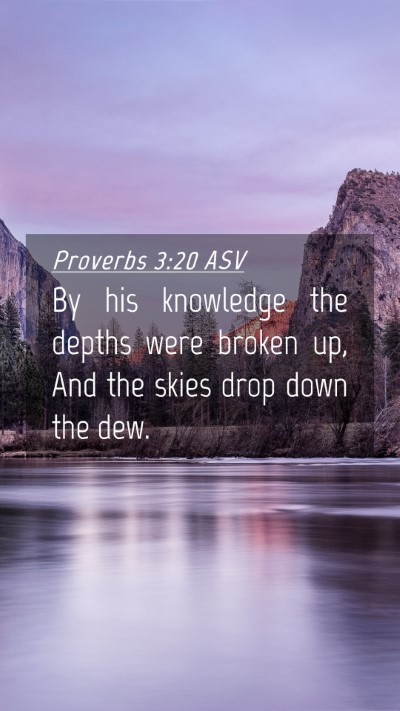 Picture 04 - Proverbs 3:20 ASV Mobile Phone Wallpaper - By his knowledge the depths were broken up, And - Mobile Bible Verse Wallpaper