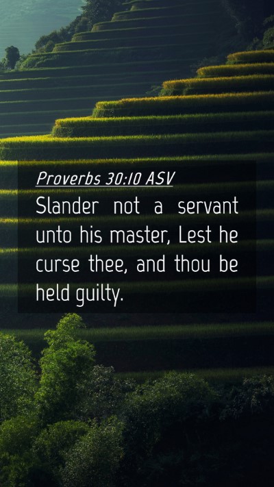 Picture 04 - Proverbs 30:10 ASV Mobile Phone Wallpaper - Slander not a servant unto his master, Lest he - Mobile Bible Verse Wallpaper