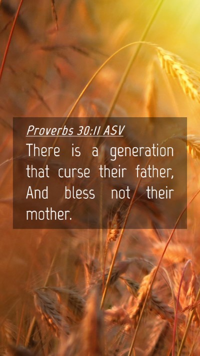 Picture 04 - Proverbs 30:11 ASV Mobile Phone Wallpaper - There is a generation that curse their father, - Mobile Bible Verse Wallpaper