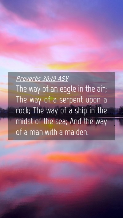 Picture 04 - Proverbs 30:19 ASV Mobile Phone Wallpaper - The way of an eagle in the air; The way of a - Mobile Bible Verse Wallpaper