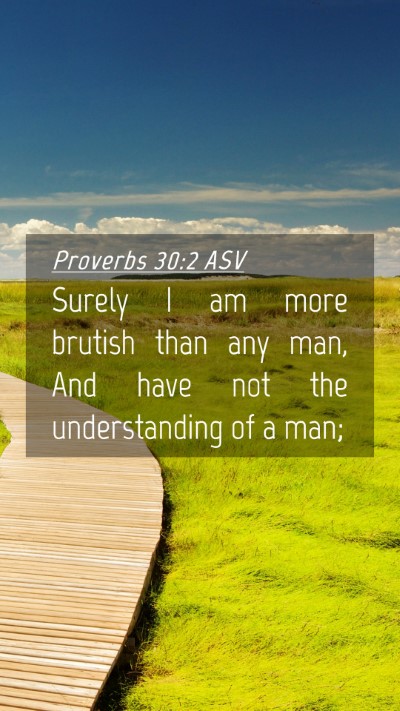 Picture 04 - Proverbs 30:2 ASV Mobile Phone Wallpaper - Surely I am more brutish than any man, And have - Mobile Bible Verse Wallpaper