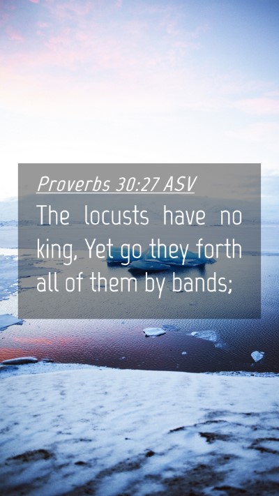 Picture 04 - Proverbs 30:27 ASV Mobile Phone Wallpaper - The locusts have no king, Yet go they forth all - Mobile Bible Verse Wallpaper