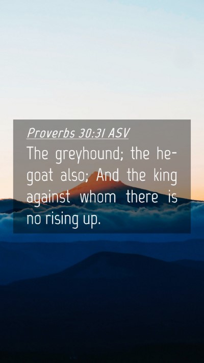 Picture 04 - Proverbs 30:31 ASV Mobile Phone Wallpaper - The greyhound; the he-goat also; And the king - Mobile Bible Verse Wallpaper