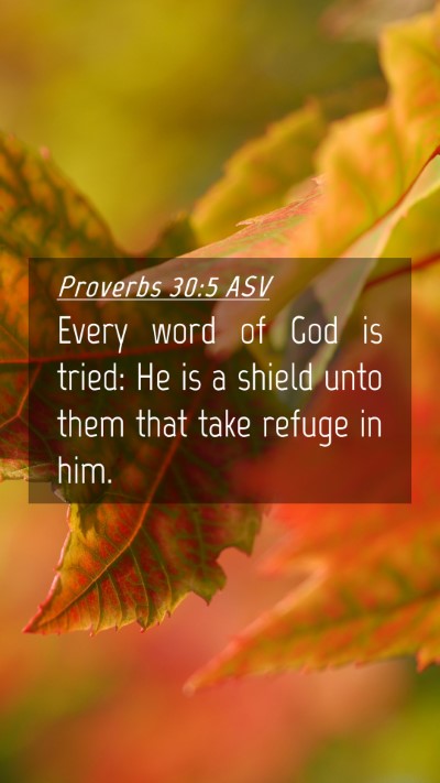 Picture 04 - Proverbs 30:5 ASV Mobile Phone Wallpaper - Every word of God is tried: He is a shield unto - Mobile Bible Verse Wallpaper