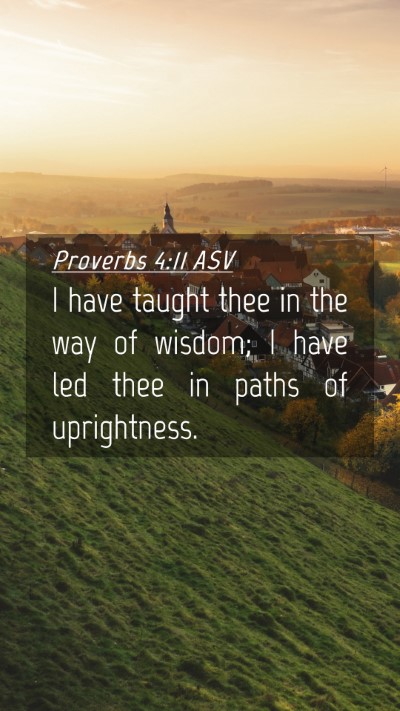 Picture 04 - Proverbs 4:11 ASV Mobile Phone Wallpaper - I have taught thee in the way of wisdom; I have - Mobile Bible Verse Wallpaper