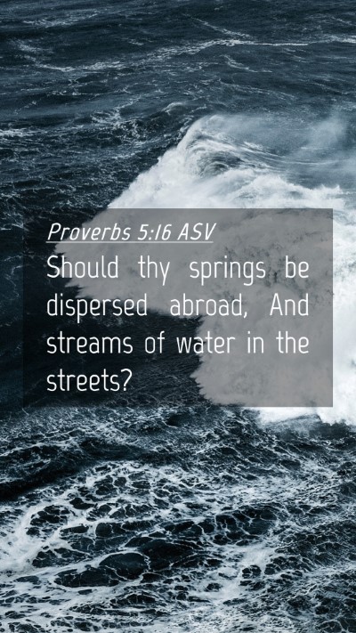 Picture 04 - Proverbs 5:16 ASV Mobile Phone Wallpaper - Should thy springs be dispersed abroad, And - Mobile Bible Verse Wallpaper