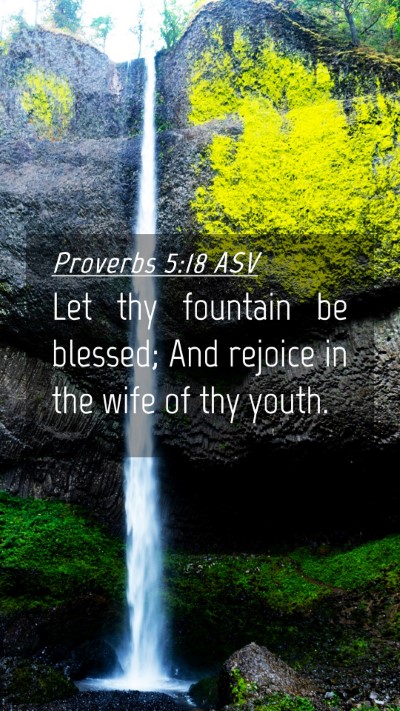 Picture 04 - Proverbs 5:18 ASV Mobile Phone Wallpaper - Let thy fountain be blessed; And rejoice in the - Mobile Bible Verse Wallpaper