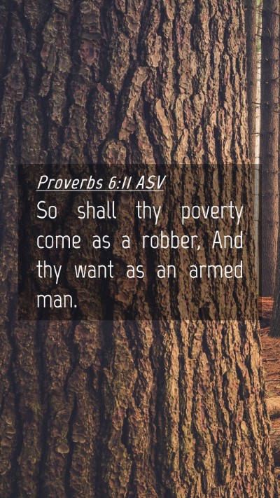 Picture 04 - Proverbs 6:11 ASV Mobile Phone Wallpaper - So shall thy poverty come as a robber, And thy - Mobile Bible Verse Wallpaper