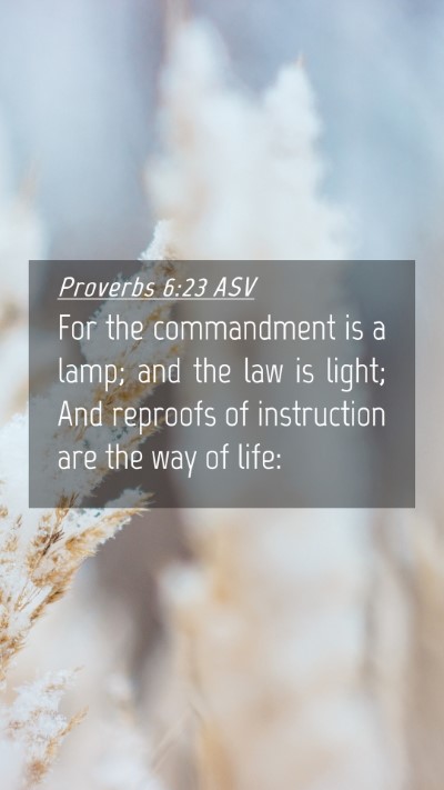 Picture 04 - Proverbs 6:23 ASV Mobile Phone Wallpaper - For the commandment is a lamp; and the law is - Mobile Bible Verse Wallpaper