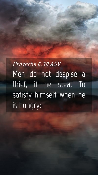Picture 04 - Proverbs 6:30 ASV Mobile Phone Wallpaper - Men do not despise a thief, if he steal To - Mobile Bible Verse Wallpaper