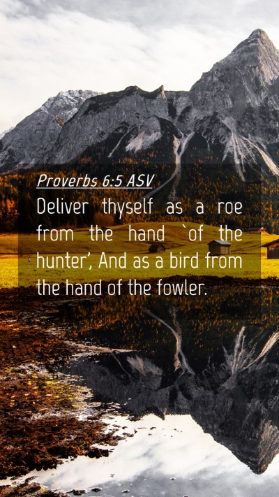 Picture 04 - Proverbs 6:5 ASV Mobile Phone Wallpaper - Deliver thyself as a roe from the hand `of the - Mobile Bible Verse Wallpaper