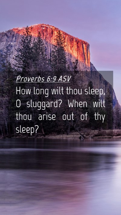 Picture 04 - Proverbs 6:9 ASV Mobile Phone Wallpaper - How long wilt thou sleep, O sluggard? When wilt - Mobile Bible Verse Wallpaper