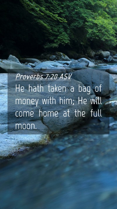 Picture 04 - Proverbs 7:20 ASV Mobile Phone Wallpaper - He hath taken a bag of money with him; He will - Mobile Bible Verse Wallpaper