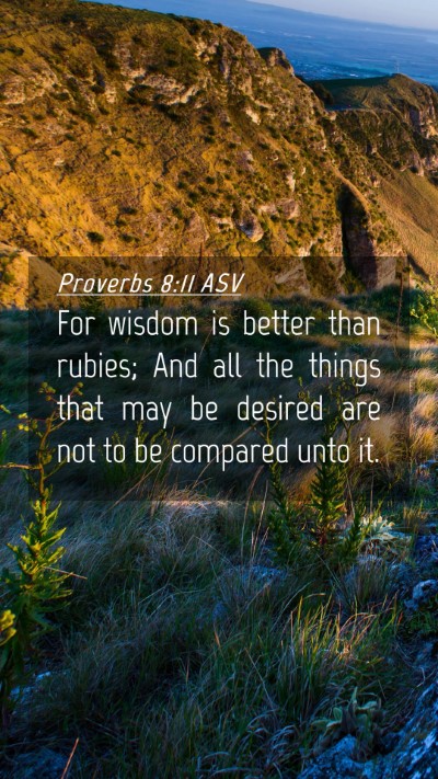 Picture 04 - Proverbs 8:11 ASV Mobile Phone Wallpaper - For wisdom is better than rubies; And all the - Mobile Bible Verse Wallpaper