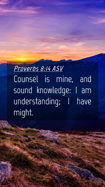 Picture 04 - Proverbs 8:14 ASV Mobile Phone Wallpaper - Counsel is mine, and sound knowledge: I am - Mobile Bible Verse Wallpaper