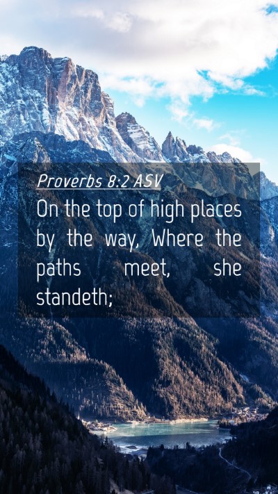 Picture 04 - Proverbs 8:2 ASV Mobile Phone Wallpaper - On the top of high places by the way, Where the - Mobile Bible Verse Wallpaper