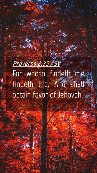 Picture 04 - Proverbs 8:35 ASV Mobile Phone Wallpaper - For whoso findeth me findeth life, And shall - Mobile Bible Verse Wallpaper