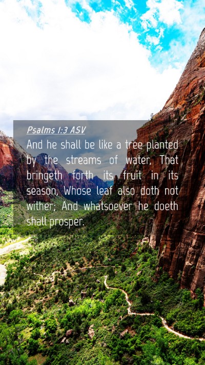 Picture 04 - Psalms 1:3 ASV Mobile Phone Wallpaper - And he shall be like a tree planted by the - Mobile Bible Verse Wallpaper