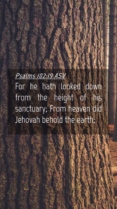 Picture 04 - Psalms 102:19 ASV Mobile Phone Wallpaper - For he hath looked down from the height of his - Mobile Bible Verse Wallpaper