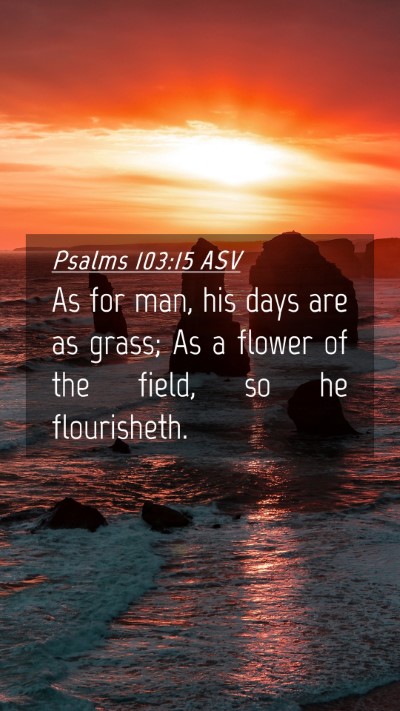 Picture 04 - Psalms 103:15 ASV Mobile Phone Wallpaper - As for man, his days are as grass; As a flower of - Mobile Bible Verse Wallpaper