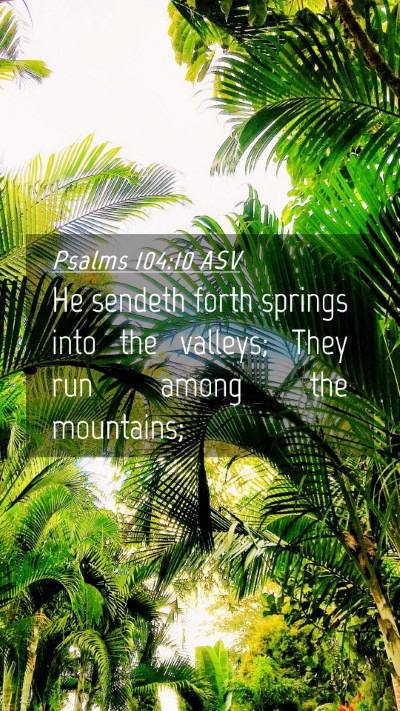 Picture 04 - Psalms 104:10 ASV Mobile Phone Wallpaper - He sendeth forth springs into the valleys; They - Mobile Bible Verse Wallpaper