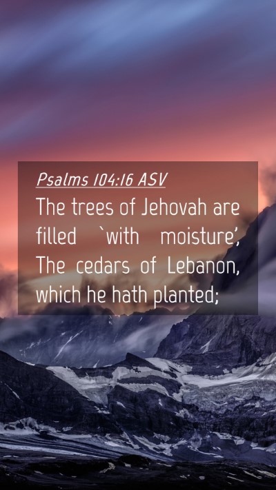 Picture 04 - Psalms 104:16 ASV Mobile Phone Wallpaper - The trees of Jehovah are filled `with moisture', - Mobile Bible Verse Wallpaper